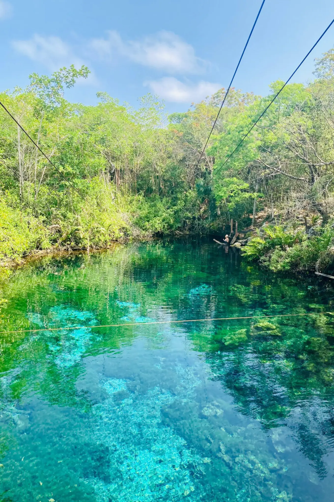 cenote